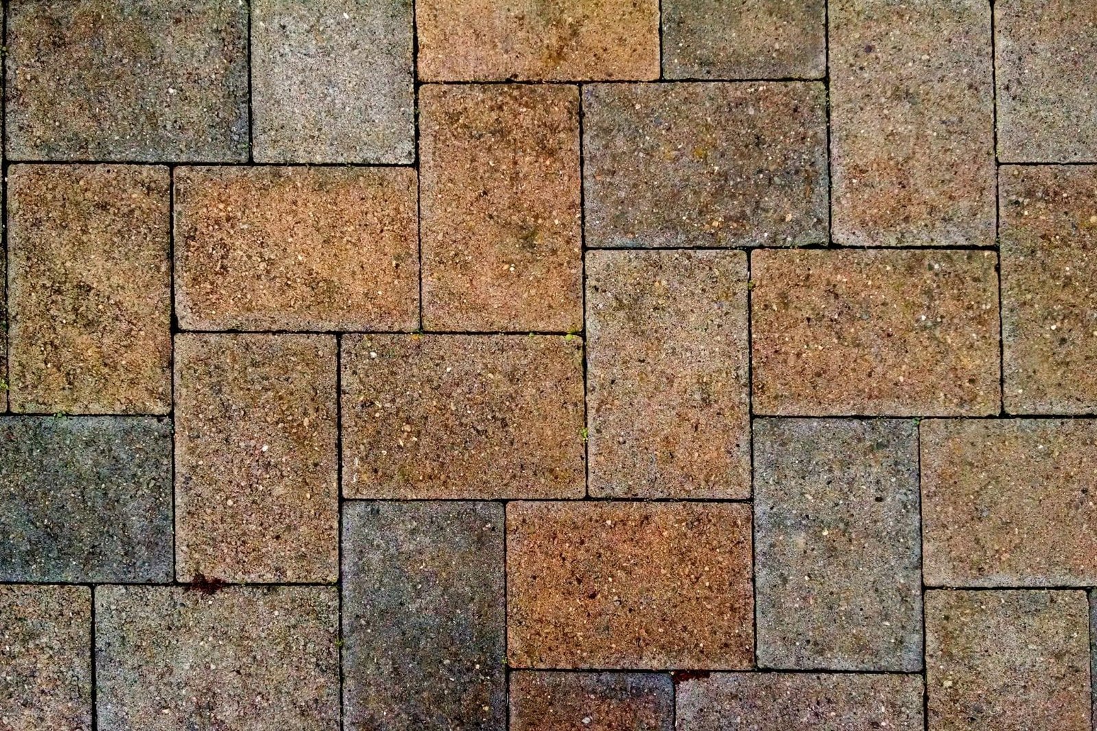paving rotorua nz